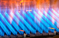 Glenborrodale gas fired boilers